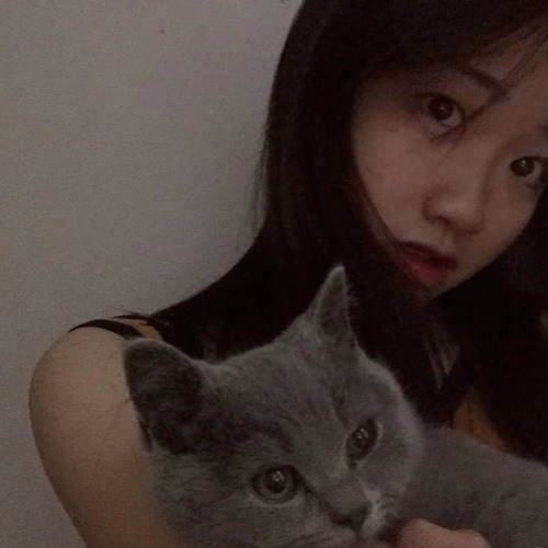 【2020年3月】沧州兼职