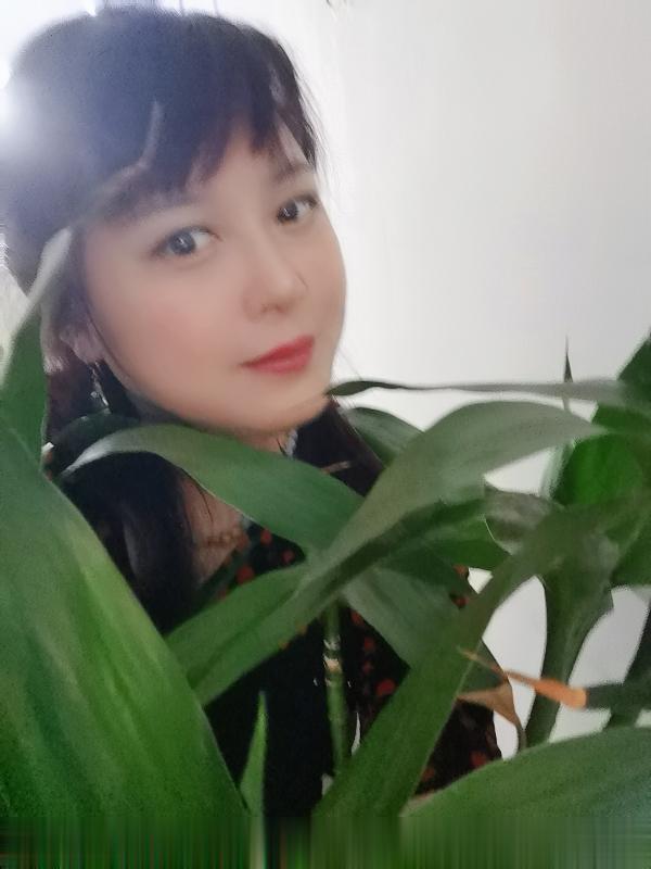 成都淑女姐姐