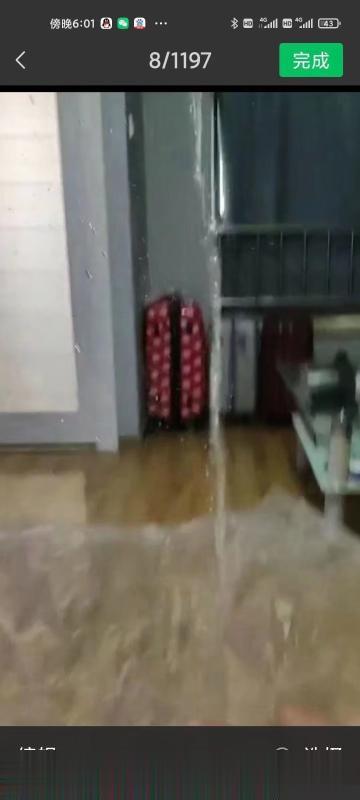 荣盛时代野蔷薇